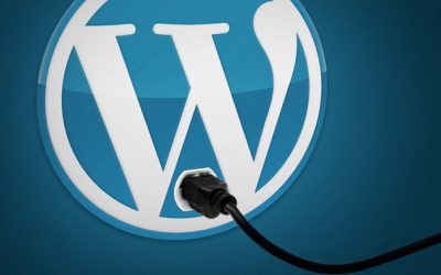 Learn as You Develop Plugins for WordPress Site